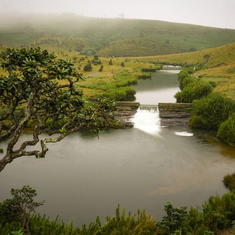 Horton Plains National Park